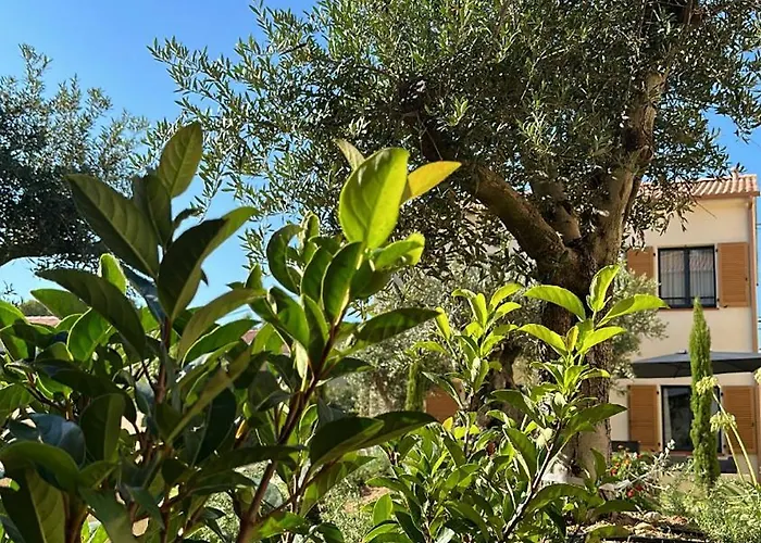 Résidence Catalina Appartamento