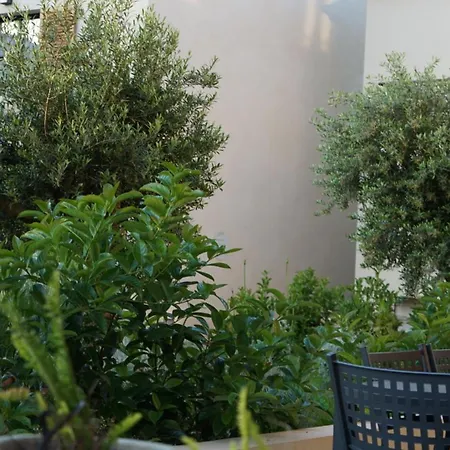 Catalina Saint-Florent (Corsica)