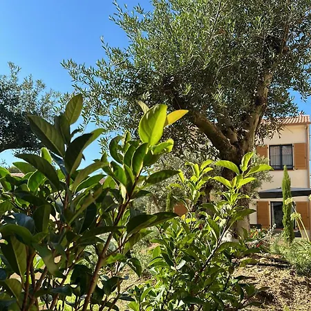 Catalina Апартаменты