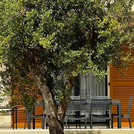 Апартаменты Catalina